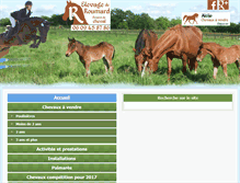 Tablet Screenshot of cheval-sport-vendee.com